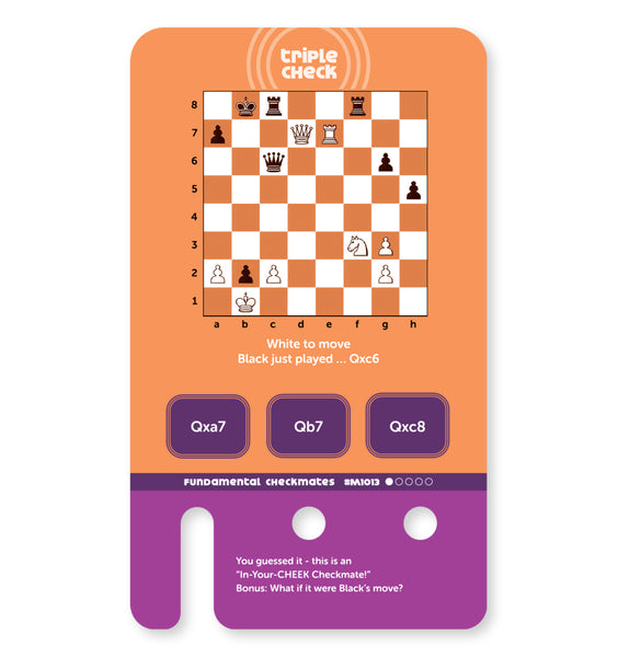 Fundamental Checkmates & Tactics Deck (cards only)