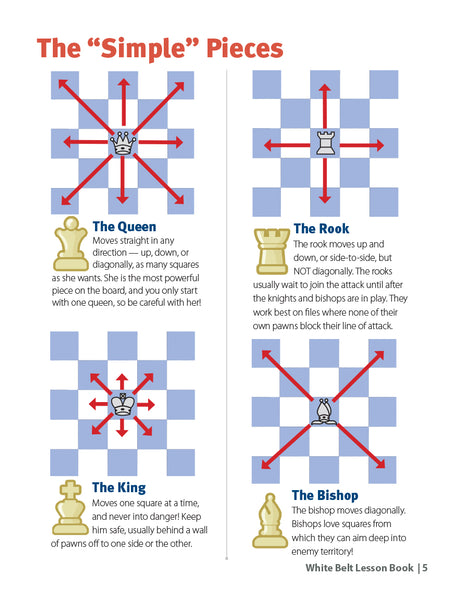 White Belt Level 1 Set (Lesson Book & Puzzle Pack)